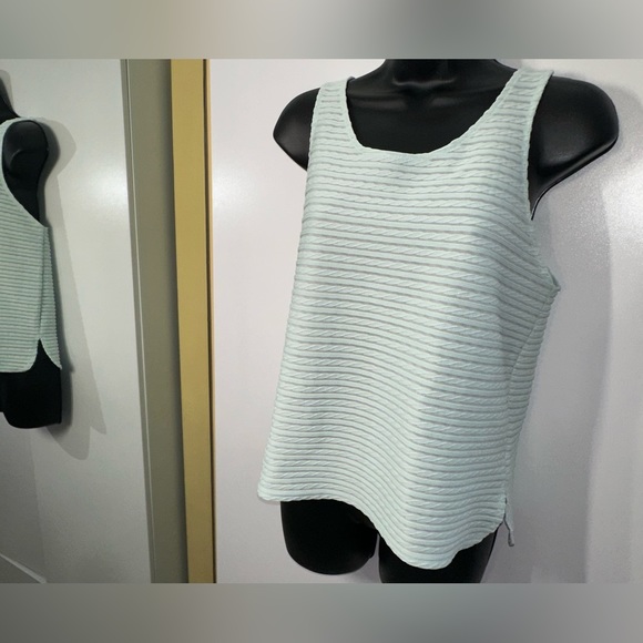 Express | NWOT Wide Sheer Sleeveless Blouse. Light horizontal stripes - Picture 11 of 16